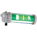 Ex Emergency Luminaire EE 11 PL