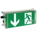 Ex Emergency Luminaire EXIT N