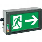 Ex Emergency Luminaire Ex-Lite Series